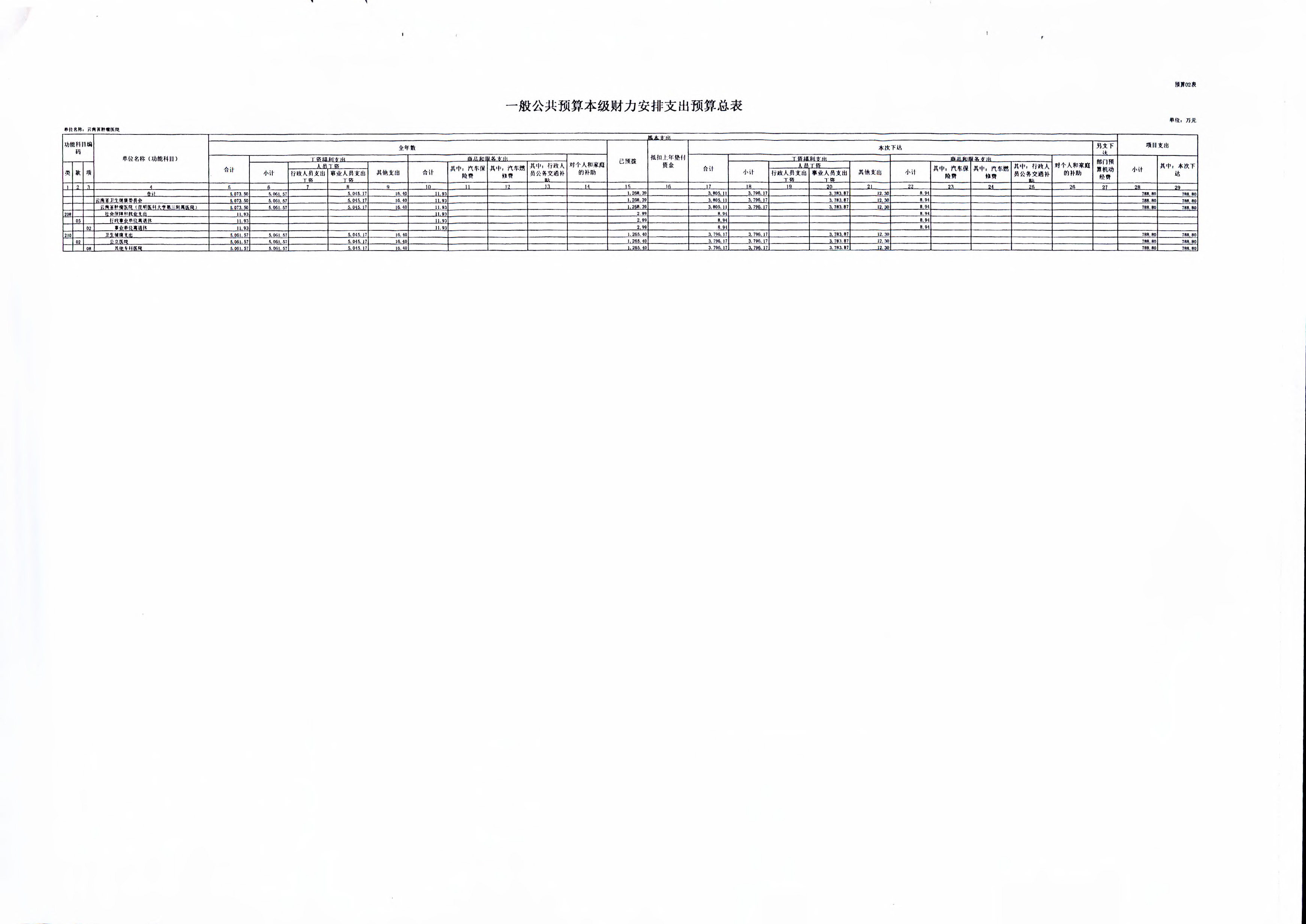 《云南省卫生健康委关于云南省肿瘤医院2019年部门预算的批复》（云卫规财发【2019】1-10号_页面_11